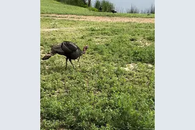 4791 County Road 24 3/4, Longmont, CO 80504 - Photo 2