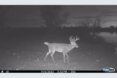 4791 County Road 24 3/4, Longmont, CO 80504 - Photo 20