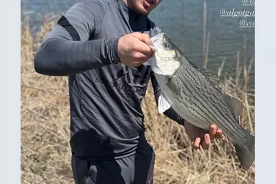 4791 County Road 24 3/4, Longmont, CO 80504 - Photo 24