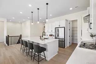 1298 Melting Snow Way, Castle Rock, CO 80109 - Photo 6