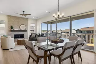 1298 Melting Snow Way, Castle Rock, CO 80109 - Photo 12