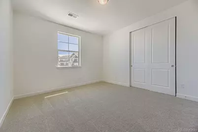 3883 Buttongrass Trail, Castle Rock, CO 80108 - Photo 10