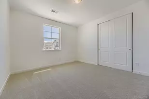 3883 Buttongrass Trail, Castle Rock, CO 80108 - Photo 10