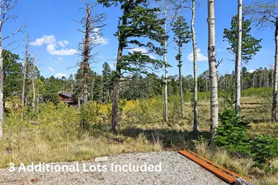2110 Sigler Drive, Fort Garland, CO 81133 - Photo 40