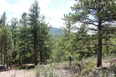 01 Golconda Mine Road, Central City, CO 80427 - Photo 2