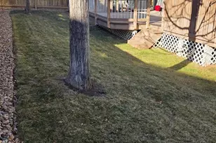 10623 Pearlwood Cir, Highlands Ranch, CO 80126 - Photo 38