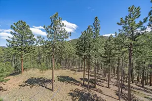 32160 Aspen Meadow Dr, Evergreen, CO 80439 - Photo 46