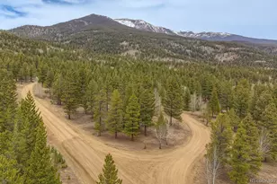 30406 National Forest Dr, Buena Vista, CO 81211 - Photo 1