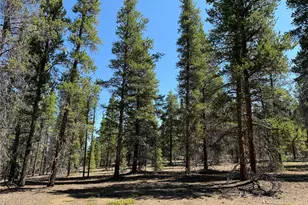 12340 US Hwy 24, Leadville, CO 80461 - Photo 16