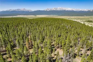 12340 US Hwy 24, Leadville, CO 80461 - Photo 12