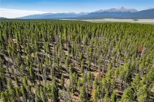 12340 US Hwy 24, Leadville, CO 80461 - Photo 14