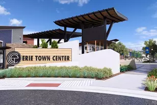 698 Punter St, Erie, CO 80516 - Photo 22