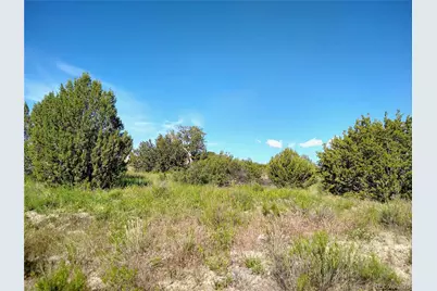 0 County 113 Lane, Rye, CO 81069 - Photo 10