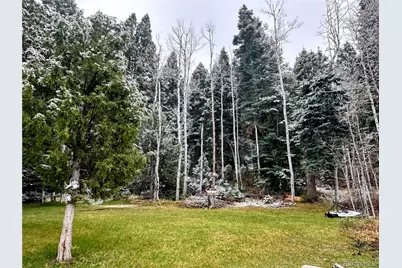 394 Tixier Ramirez Circle, Antonito, CO 81120 - Photo 24