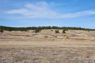 11866 Alamar Wy, Colorado Springs, CO 80908 - Photo 4