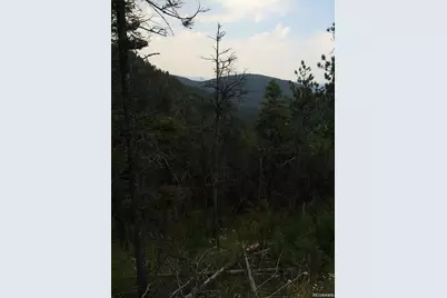 13499 S Firedog Way, Larkspur, CO 80118 - Photo 4