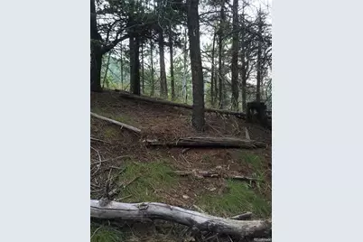 13499 S Firedog Way, Larkspur, CO 80118 - Photo 8