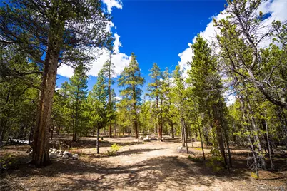 247 Juniper Drive, Twin Lakes, CO 80461 - Photo 8