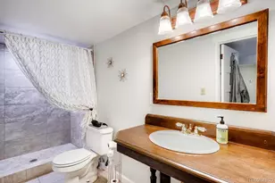 517 Josephine St, Denver, CO 80206 - Photo 22