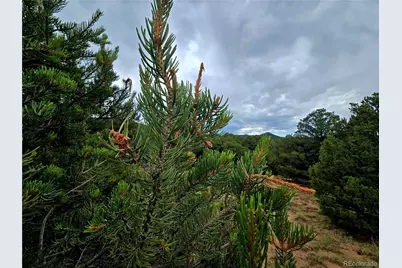 Lot 97 Phase #4 River Ridge Ranch, Walsenburg, CO 81089 - Photo 14