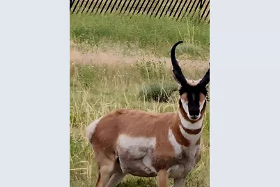 Lot 97 Phase #4 River Ridge Ranch, Walsenburg, CO 81089 - Photo 20