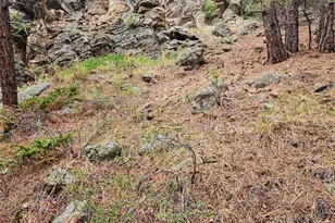 6078 Lone Peak Dr, Evergreen, CO 80439 - Photo 6