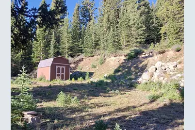 1062 Roberts Road, Alma, CO 80420 - Photo 10