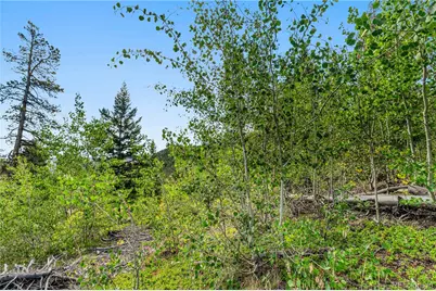 Lot F Gray Wolf Trail, Golden, CO 80403 - Photo 30