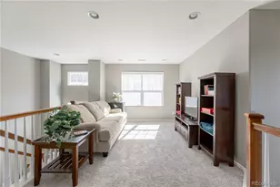 4262 Abstract St, Castle Rock, CO 80109 - Photo 20