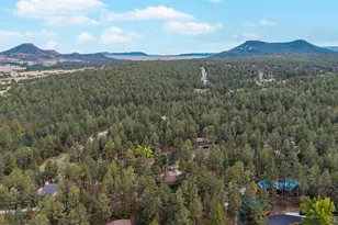 623 Weston Rd, Larkspur, CO 80118 - Photo 42