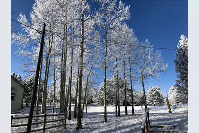 220 Burland Drive, Bailey, CO 80421 - Photo 14