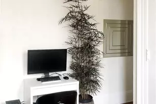 1441 N Pennsylvania Street, Denver, CO 80203 - Photo 4