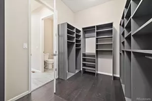 6725 Mentha Dr, Castle Rock, CO 80108 - Photo 18