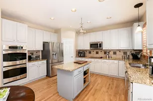 10541 Jaguar Glen, Lone Tree, CO 80124 - Photo 20