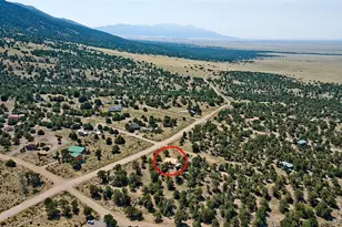 4363 Camino Baca Grande, Crestone, CO 81131 - Photo 44