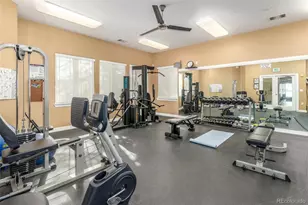 8445 S Holland Way, Littleton, CO 80128 - Photo 40