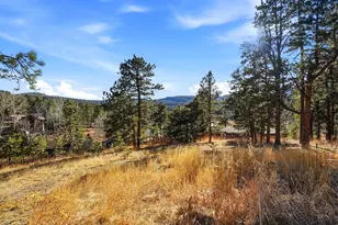 9808 Fallen Rock Rd, Conifer, CO 80433 - Photo 40