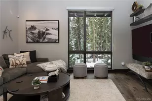 273 River Park Dr, Breckenridge, CO 80424 - Photo 14