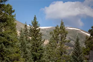 273 River Park Dr, Breckenridge, CO 80424 - Photo 46