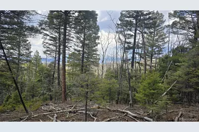 Lot 5261 Scott Road, Fort Garland, CO 81133 - Photo 20