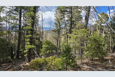 Lot 5261 Scott Road, Fort Garland, CO 81133 - Photo 1
