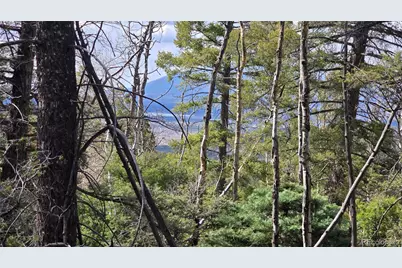 Lot 5261 Scott Road, Fort Garland, CO 81133 - Photo 22