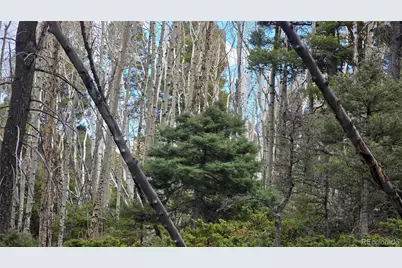 Lot 5261 Scott Road, Fort Garland, CO 81133 - Photo 16