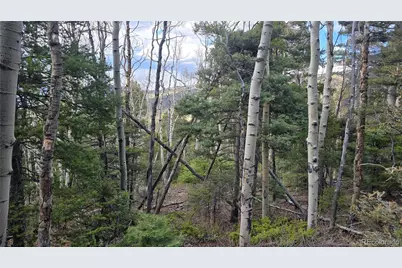 Lot 5261 Scott Road, Fort Garland, CO 81133 - Photo 12