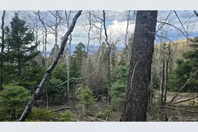 Lot 5261 Scott Road, Fort Garland, CO 81133 - Photo 2