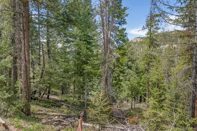 Lost Cabin Trail, Evergreen, CO 80439 - Photo 4