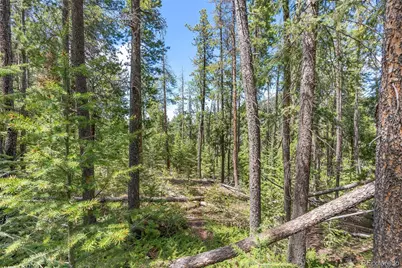 Lost Cabin Trail, Evergreen, CO 80439 - Photo 8