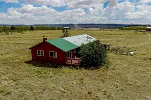 119 Bristlecone Ln, Fairplay, CO 80440 - Photo 40