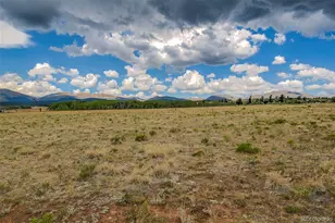 119 Bristlecone Ln, Fairplay, CO 80440 - Photo 34