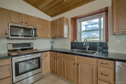 119 Bristlecone Lane, Fairplay, CO 80440 - Photo 8